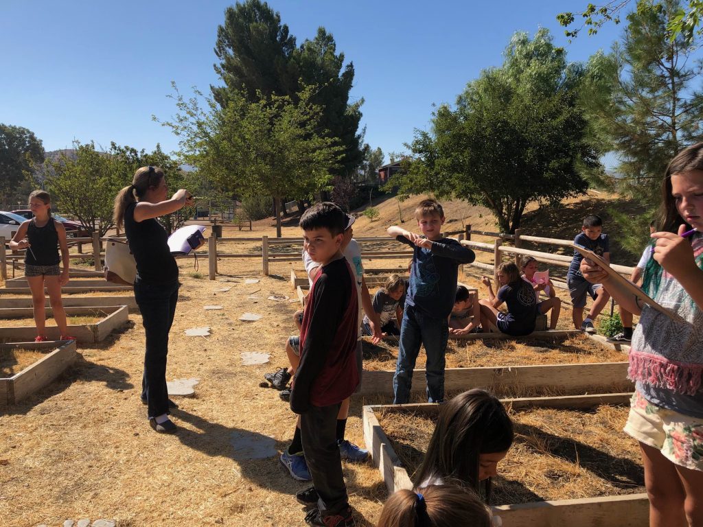 iLEAD Agua Dulce Garden Beds