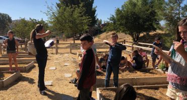 iLEAD Agua Dulce Garden Beds