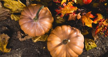 iLEAD Agua Dulce Harvest Festival